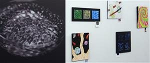 Artwork displaying on a wall 